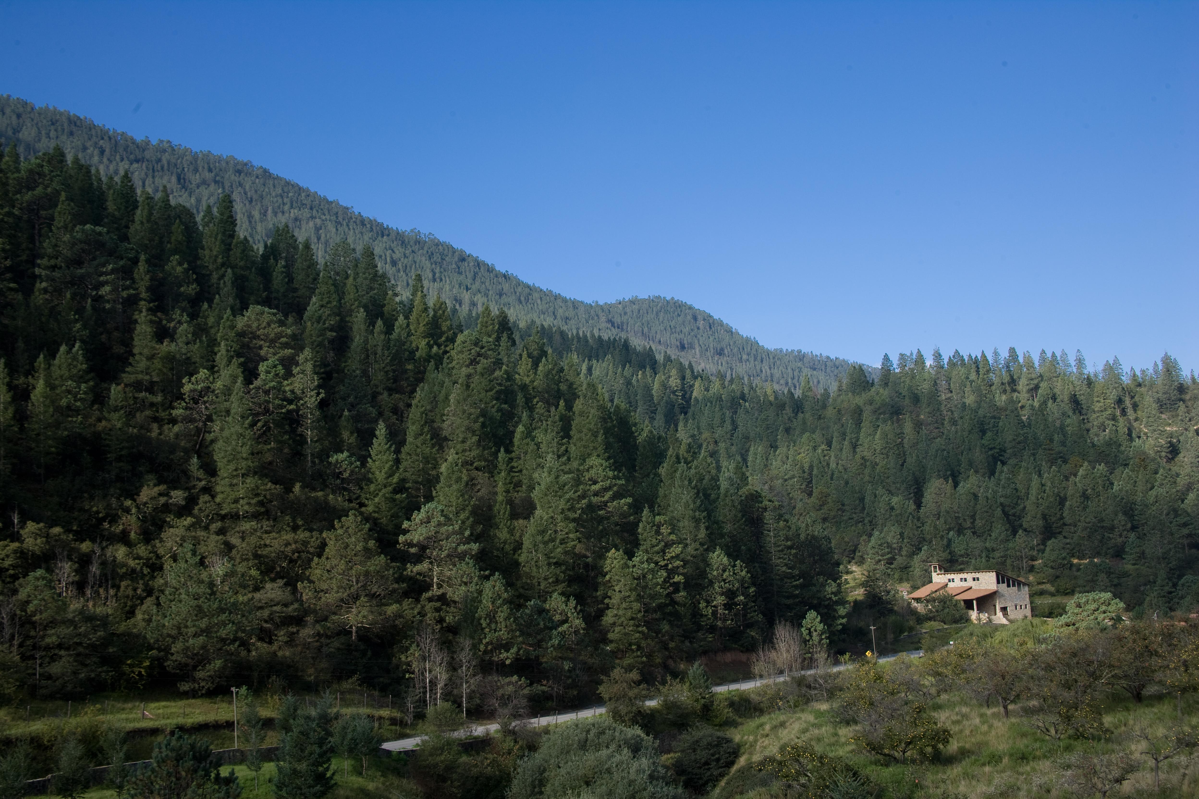 Hotel Bosques De Monterreal San Antonio de las Alazanas Exterior foto