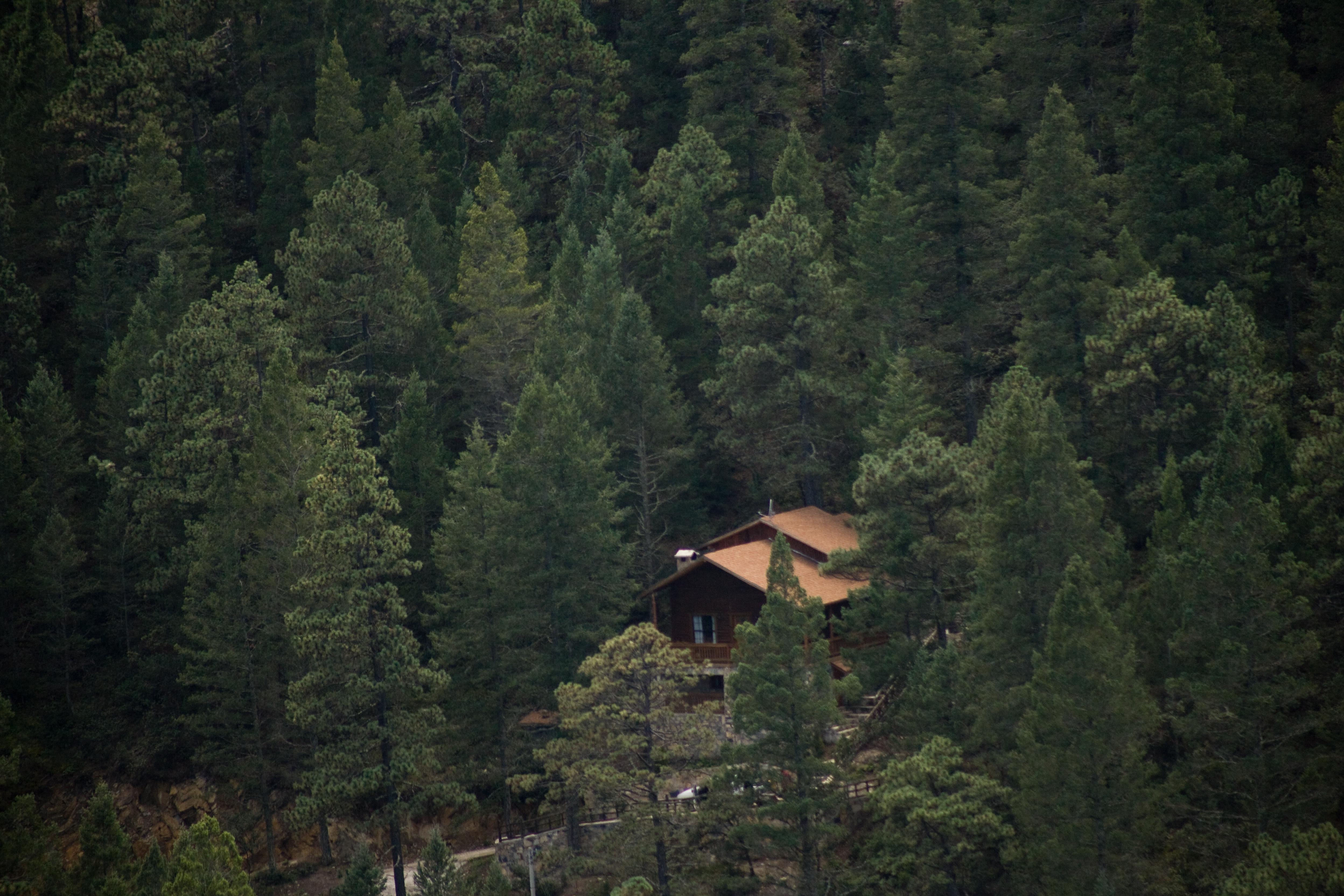 Hotel Bosques De Monterreal San Antonio de las Alazanas Exterior foto